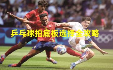 乒乓球拍底板选择全攻略