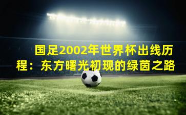 国足2002年世界杯出线历程：东方曙光初现的绿茵之路
