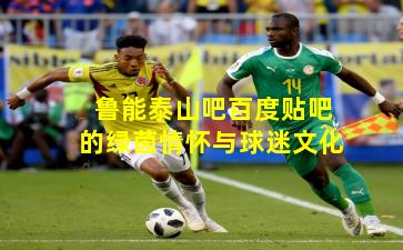 鲁能泰山吧百度贴吧的绿茵情怀与球迷文化