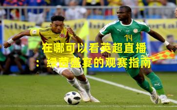 在哪可以看英超直播:绿茵盛宴的观赛指南