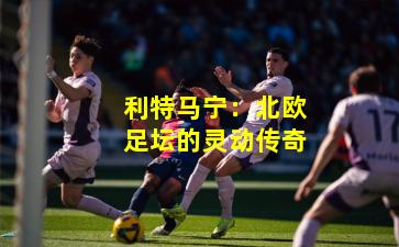 利特马宁：北欧足坛的灵动传奇